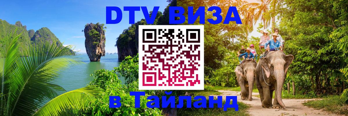 Оформление DTV визы под ключ: стоимость и тарифы, только загранпаспорт - 05.10.2025 